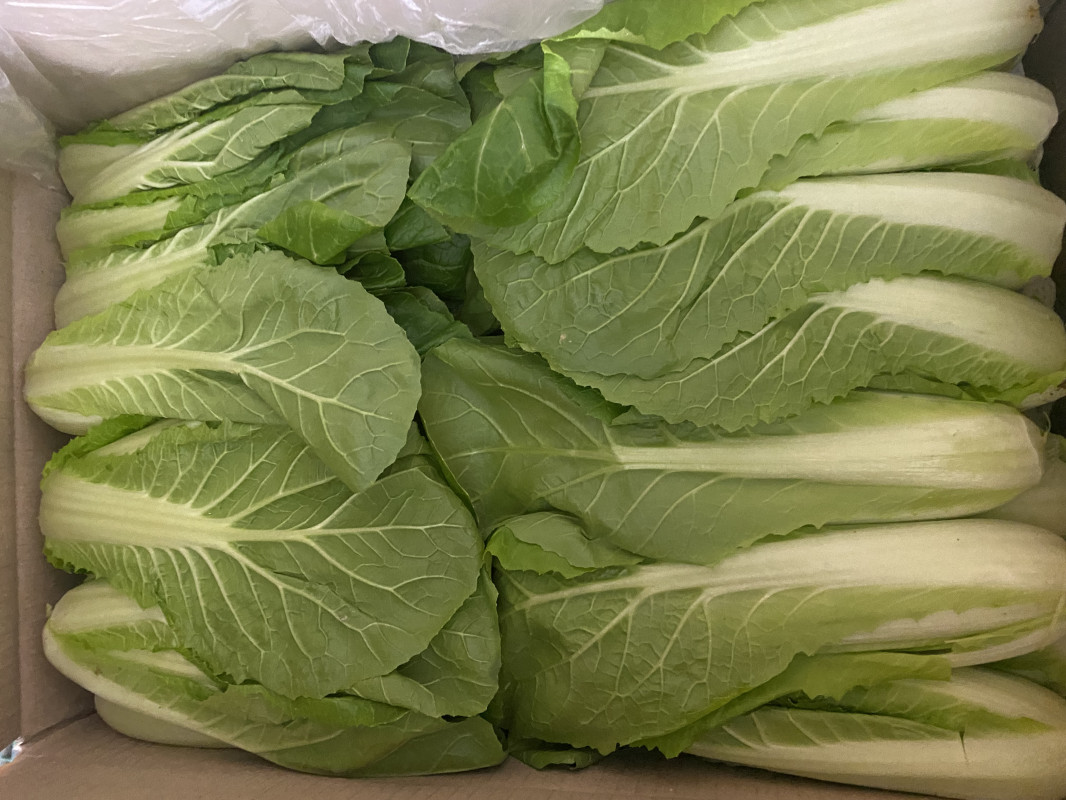 얼갈이(특) 4kg/박스 상품 썸네일