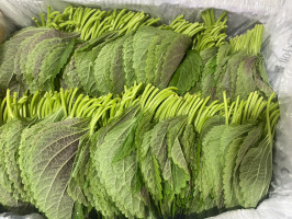 찹찹이깻잎(상) 1kg/박스 상품 썸네일